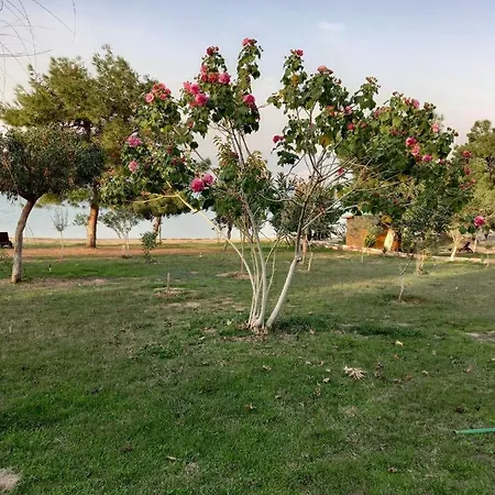 Ege Yildizi Sitesi Didim